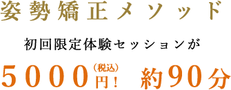 姿勢矯正メソッド 初回限定体験セッションが５０００円! 約90分