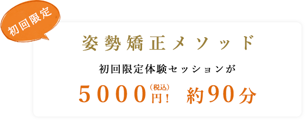 姿勢矯正メソッド 初回限定体験セッションが５０００円! 約90分